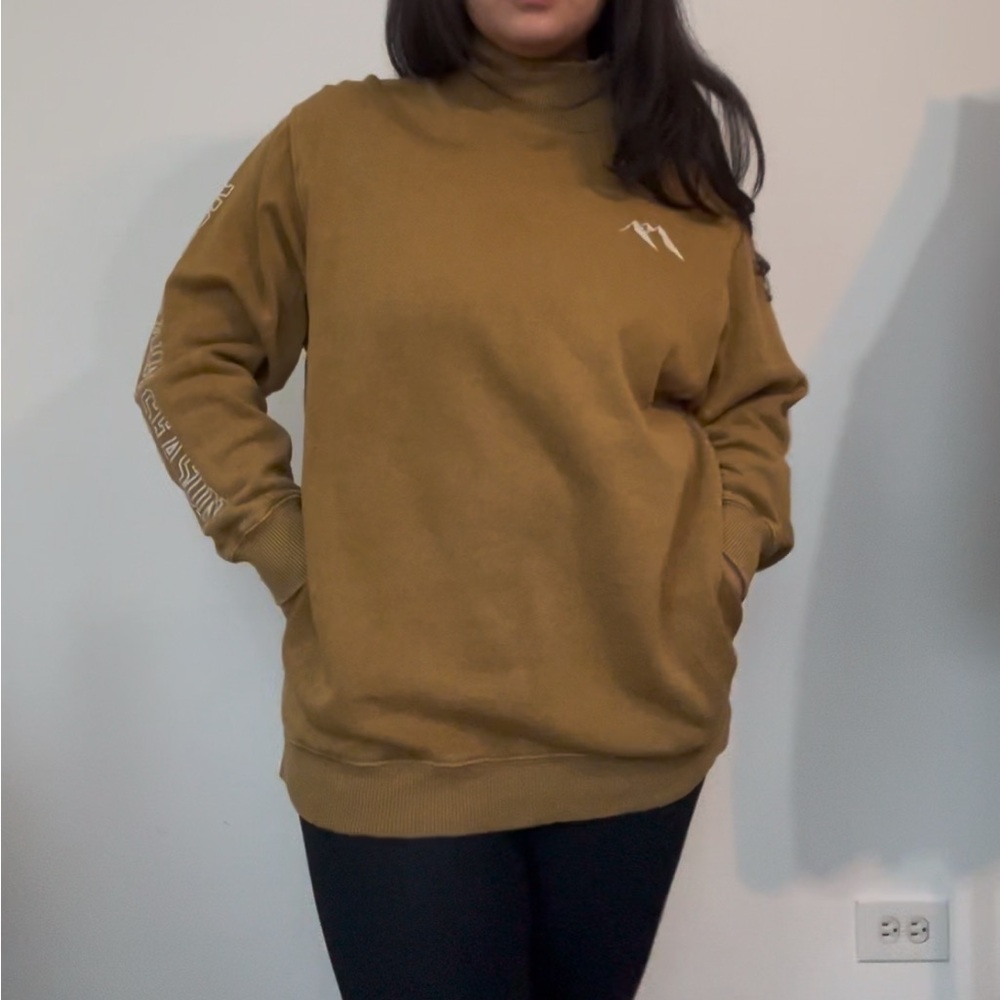 aerie turtle neck sweater